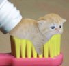Furel